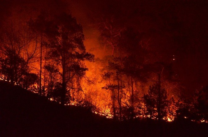 Trabzon Valisi Yücel Yavuz: “Yangında 15-20 Hektar Kadar Bir Alanın Etkilendiğini Düşünüyoruz”