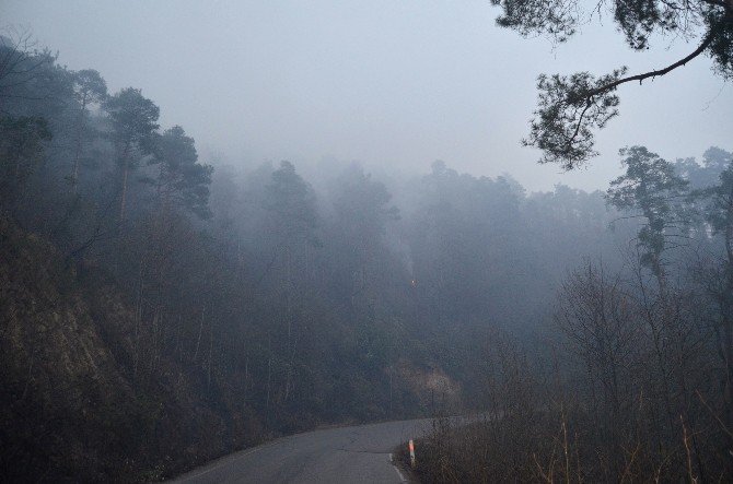 Günün Ağarmasıyla Trabzon’daki Yangının Boyutu Ortaya Çıktı