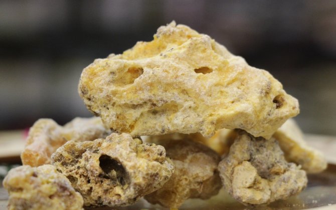 ’Çam Sakızı’ Sadece Deyimlerde Kullanılmıyor