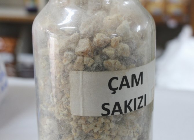 ’Çam Sakızı’ Sadece Deyimlerde Kullanılmıyor