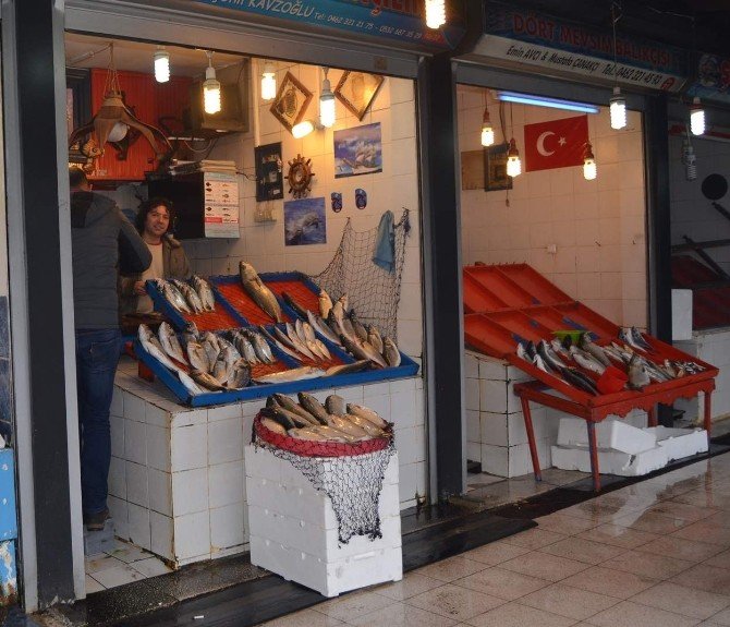 Karadeniz’de Bugünlerde Balık Avı Azalınca Vatandaş Kültür Balığına Yöneldi