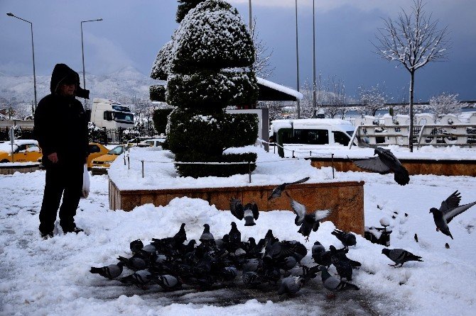 Giresun’da Kar Yağışı 449 Köy Yolunu Ulaşıma Kapattı