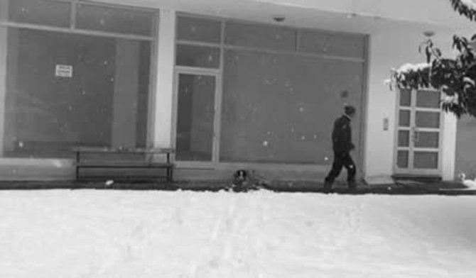 Montunu Çıkartıp Köpeğin Üzerini Örttü