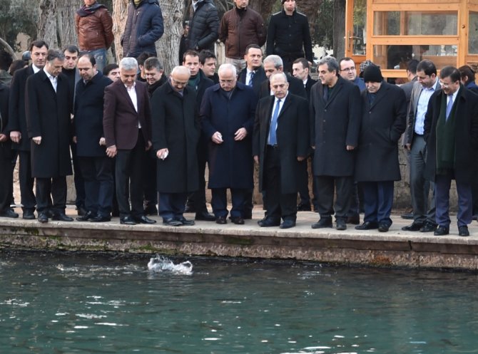 Bakan Elvan Balıklıgöl’ü Gezdi