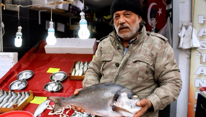 4 Kiloluk Çupra, İlgi Gördü