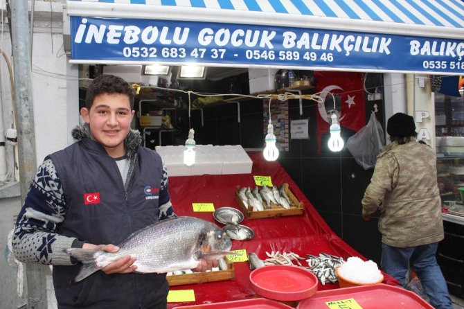 4 Kiloluk Çupra, İlgi Gördü