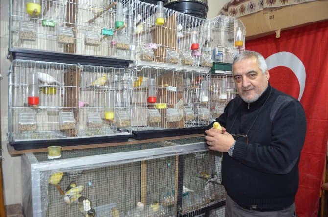 Böyle Kuş Sevgisi Görülmedi