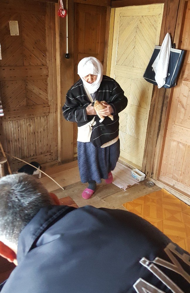 Yaşlı Kadının Hayvan Sevgisi