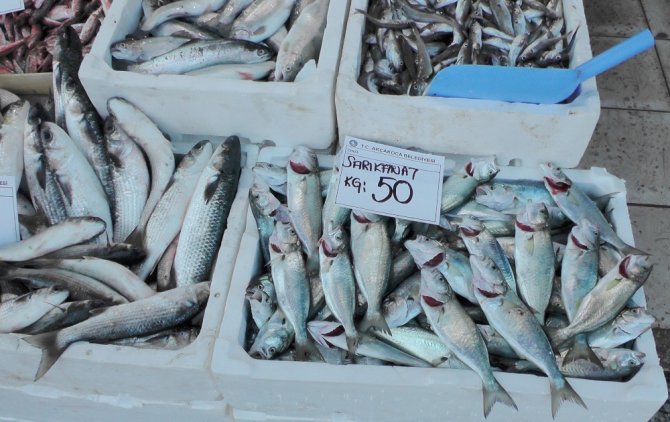 Kilosu 50 Tl’ye Çıktı
