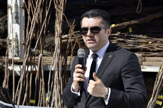 Gümüşhane’de 50 Bin Ceviz Fidanının Dağıtımına Başlandı