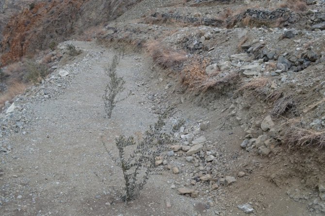 Artvin’de 3 Bin 480 Dekar Orman Alanı Orman Köylüsünün Hizmetinde