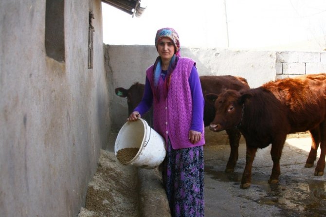 Diyarbakırlı Çiftin Hayatını Değiştiren Proje