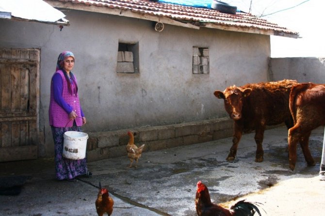 Diyarbakırlı Çiftin Hayatını Değiştiren Proje