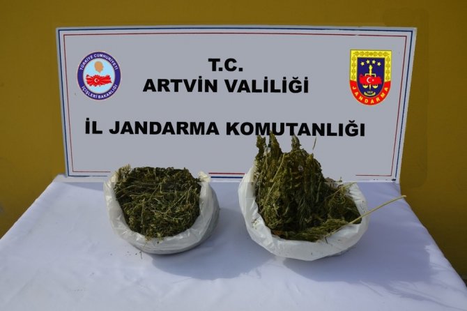 Artvin’de Jandarmadan Uyuşturucu Operasyonu