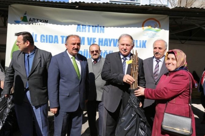 Artvin’de Vatandaşlara 12 Bin Adet Ağaç Fidanı Dağıtıldı