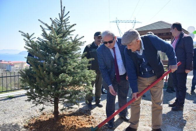 Giresun’da Orman Haftası Etkinlikleri