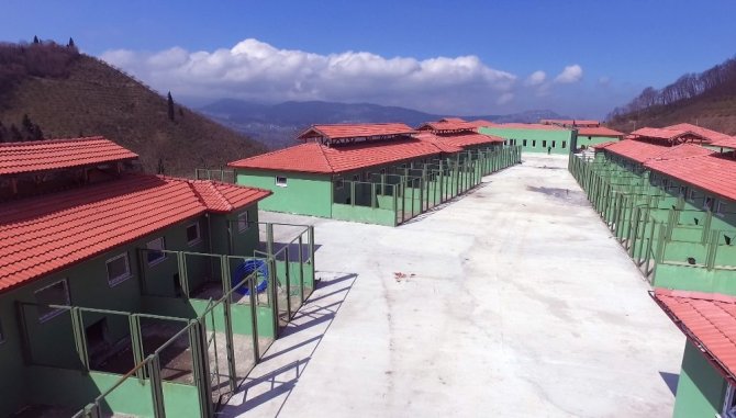 Türkiye’nin En Büyük Doğal Yaşam Alanı Ve Sokak Hayvanları Bakım Merkezi’nin Yapımı Büyük Ölçüde Tamamlandı