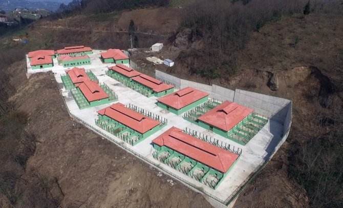 Türkiye’nin En Büyük Doğal Yaşam Alanı Ve Sokak Hayvanları Bakım Merkezi’nin Yapımı Büyük Ölçüde Tamamlandı