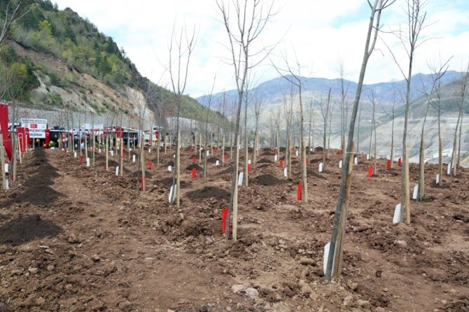 Artvin’de 