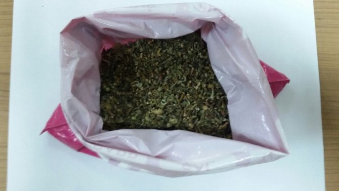 Çorum’da Zehir Tacirlerine Operasyon: 19 Gözaltı