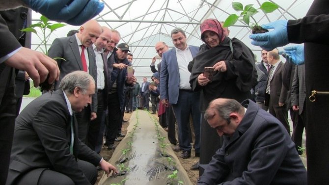Artvin’de Sera Atağı