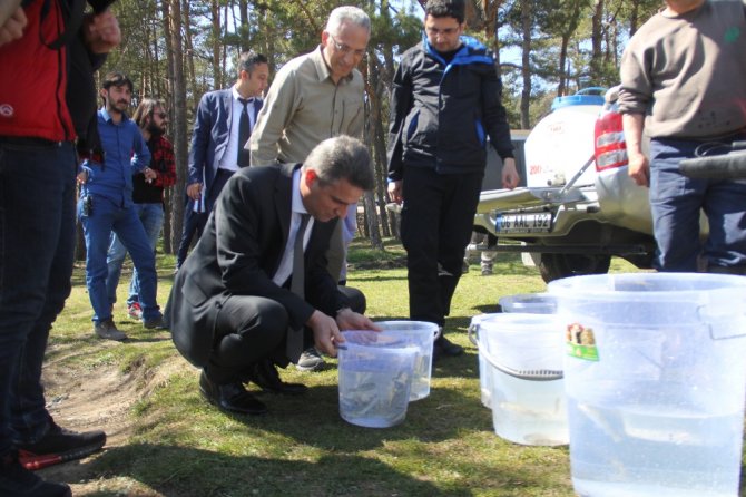 Abant Gölü’ne 51 Bin Balık Salındı