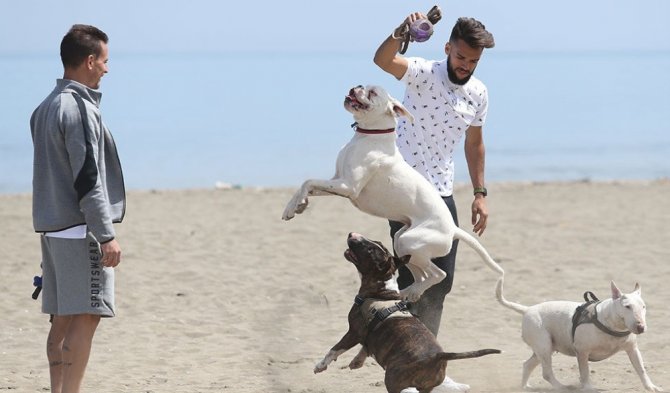 Trabzonsporlu Mas Ve Pereira’dan Samimi Açıklamalar