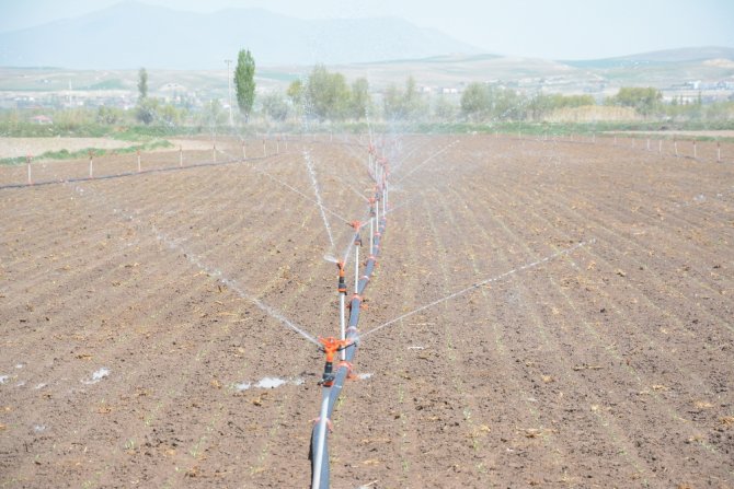 Şeker Pancarı Ekim Sezonu Başladı