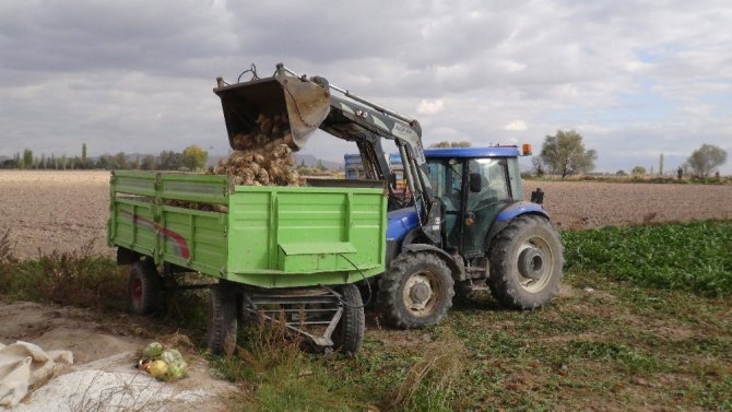 Şeker Pancarı Ekim Sezonu Başladı