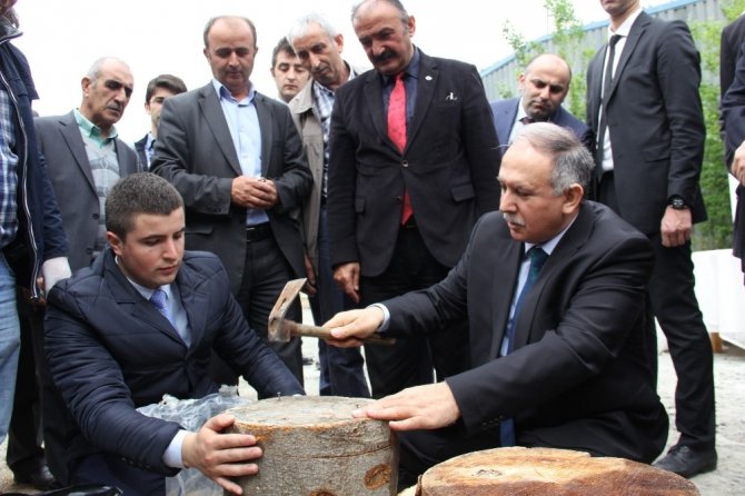 Artvin’de Kayın Mantarı Serası Kuruldu