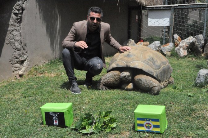Tuki’den Derbi Tahmini