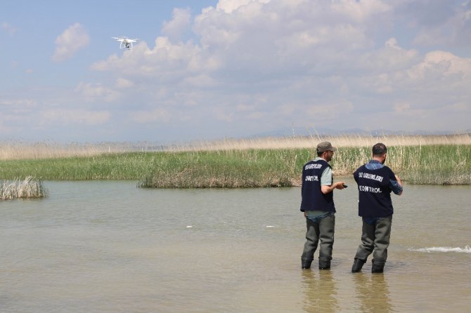 Göle 450 Bin Yavru Sazan Bırakıldı