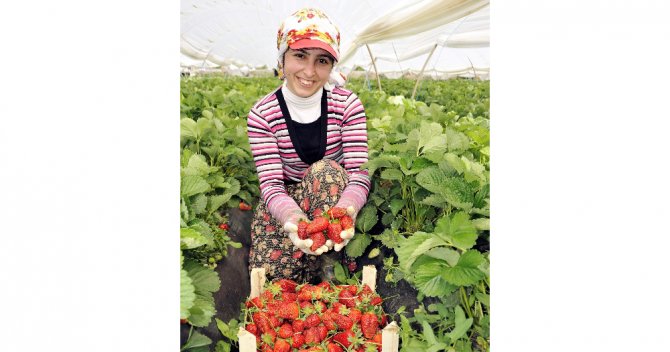 Rusya İle Kriz Aşıldı: Yüzler Gülüyor