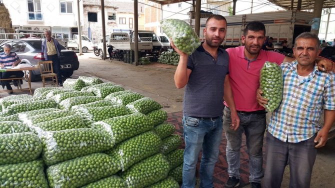 Kilosu 400 Tl’den 7 Tl’ye Düştü
