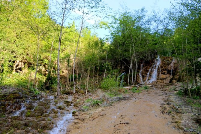 Abd’deki Yellowstone Ulusal Parkı’ndan Sonra Orman İçindeki Dünyanın En Büyük Travertenleri Giresun’da