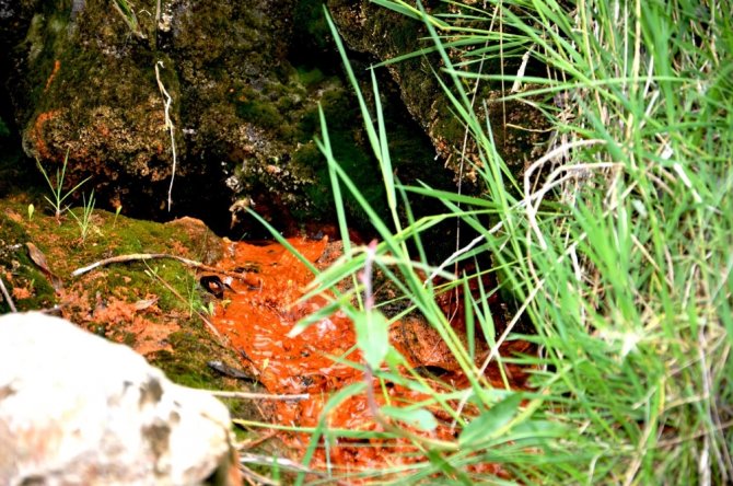 Dağlardan Gelen Şifa: İspendere İçmeleri
