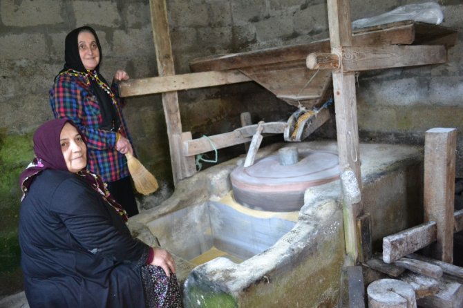 Sağlıklı Yaşamın Sırrı Karadeniz’de