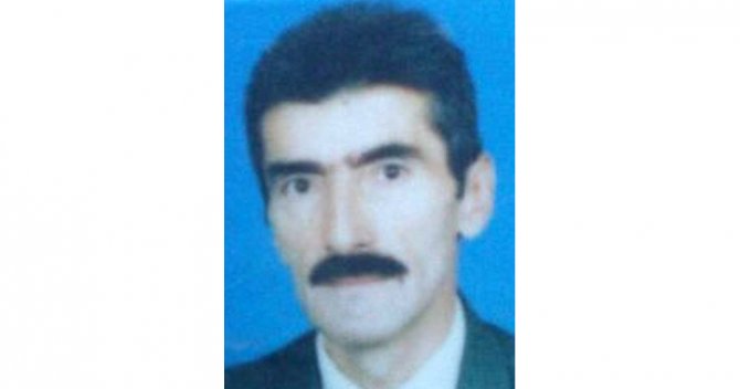 Üzerine Ağaç Devrilen Orman İşçisi Hayatını Kaybetti