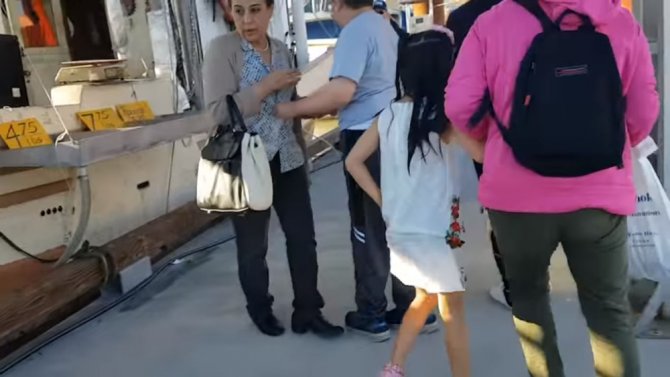 Deniz Aslanı Küçük Kızı Az Daha Öldürüyordu