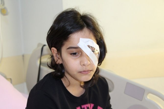 Gözüne Gelen Kalem Az Daha Kör Ediyordu
