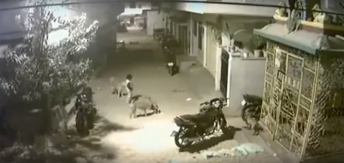 5 Yaşındaki ’Cesur Yürek’