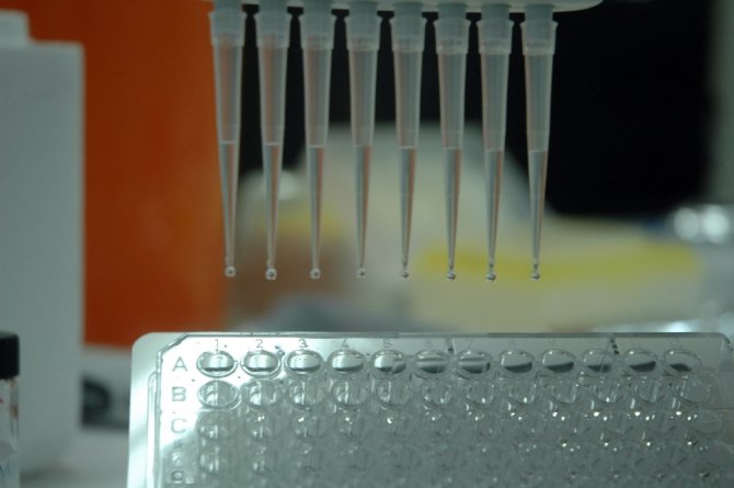 Hedef Kanser Tedavisinde Milli İlaç