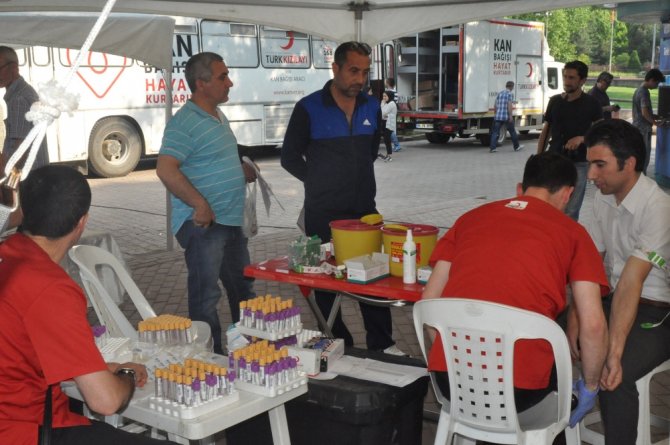 Küçük Ela İçin Seferberlik