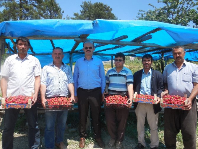 Hem Üreticinin Hem Tüketicinin Yüzünü Güldürdü
