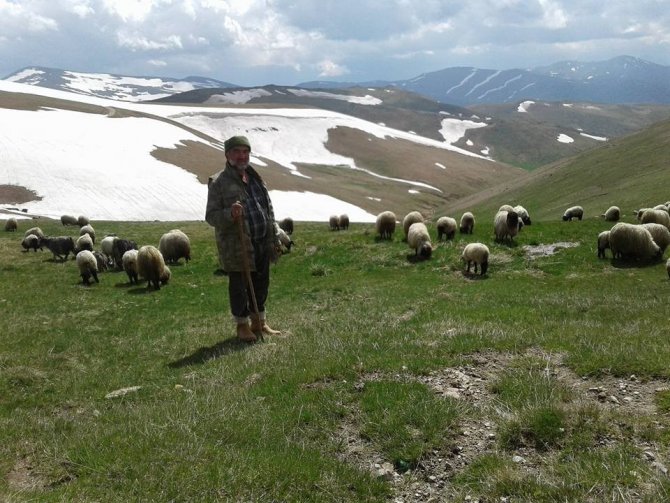 Giresunlu Yaylacıların Yayla Sorunu