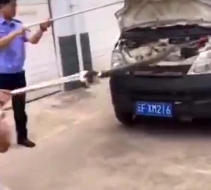 Aracından 3 Metrelik Kral Kobra Çıktı