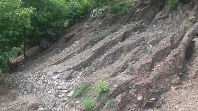 Torul’da Dolu Yağışı Tarım Arazilerine Zarar Verdi