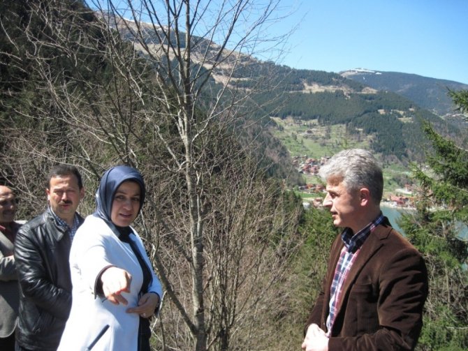 Uzungöl’e Seyir Terası Projesi