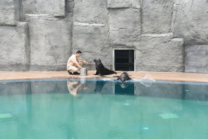 Bursa Hayvanat Bahçesi’nin Yeni Misafirleri İlgi Çekiyor