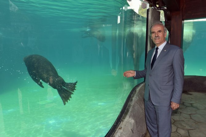 Bursa Hayvanat Bahçesi’nin Yeni Misafirleri İlgi Çekiyor